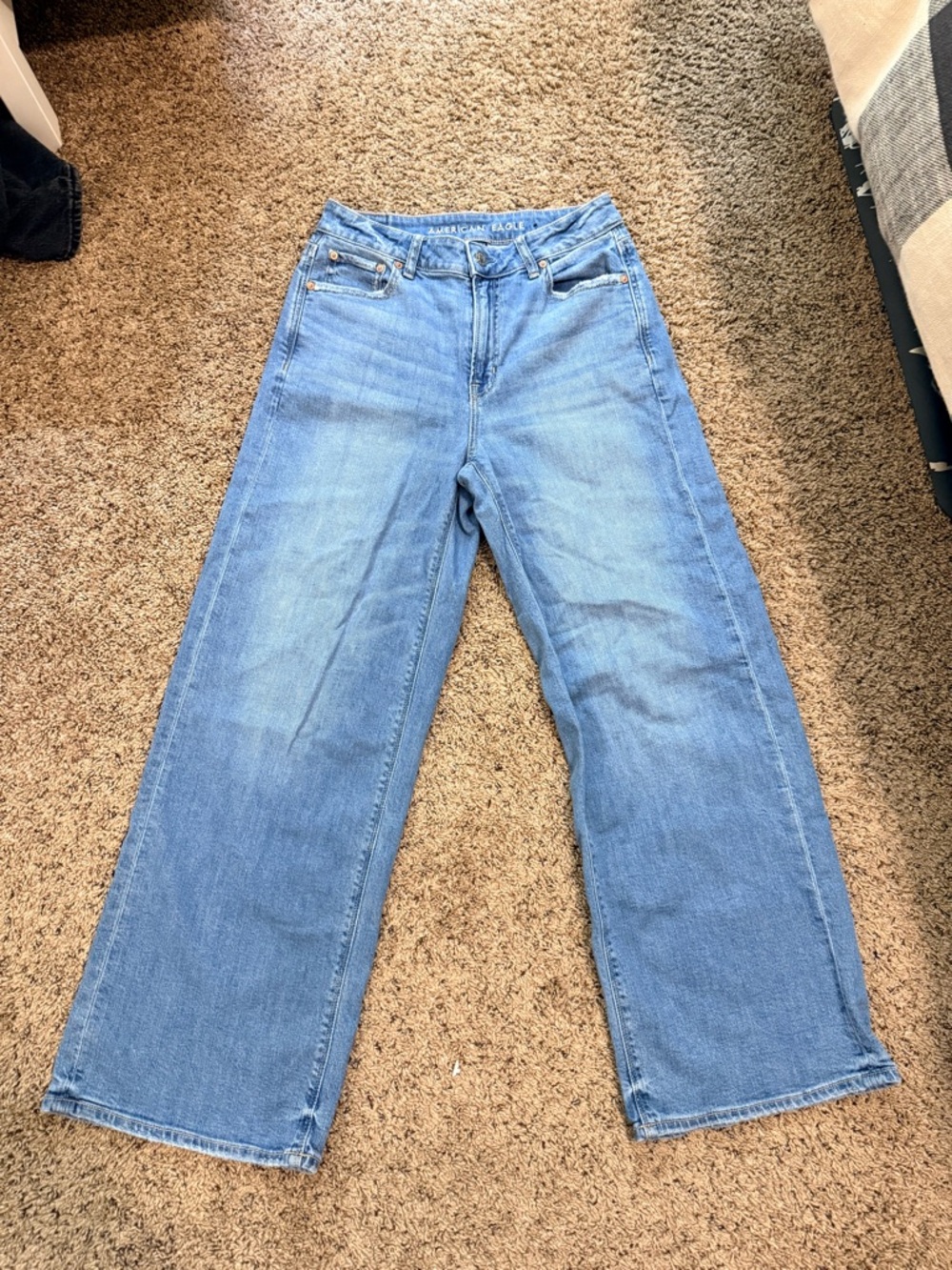 American Eagle Outfitters Light Wash Baggy Wide-Leg Jeans